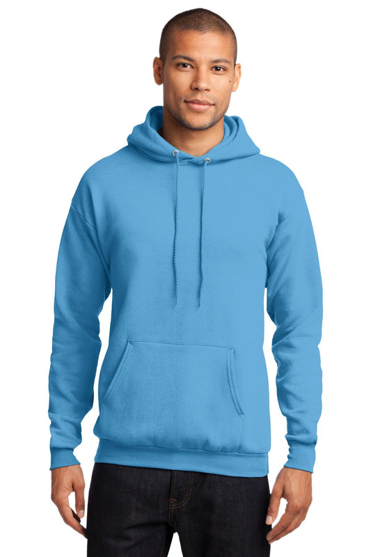 Photo of Port & Company Sweatshirts/Fleece PC78H  color  Aquatic Blue